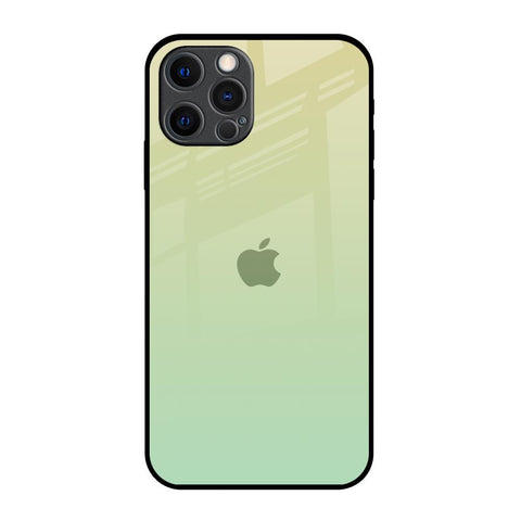 Mint Green Gradient iPhone 12 Pro Max Glass Back Cover Online
