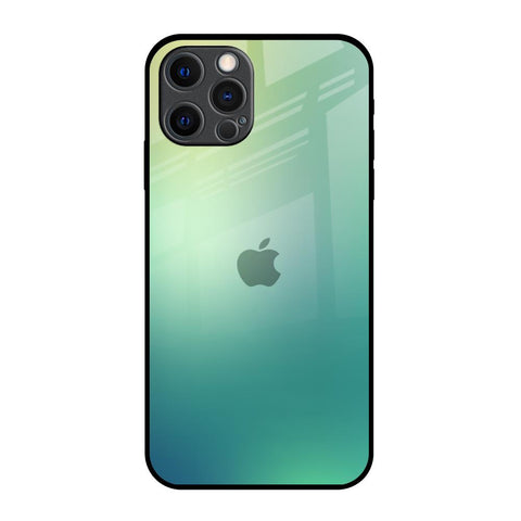 Dusty Green iPhone 12 Pro Max Glass Back Cover Online