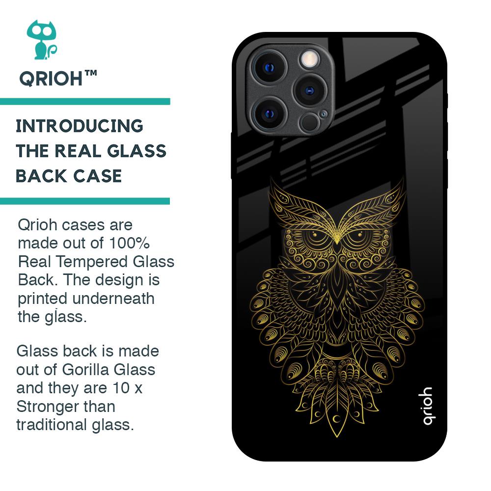 Golden Owl Glass Case for iPhone 12 Pro Max
