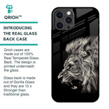 Brave Lion Glass Case for iPhone 12 Pro Max