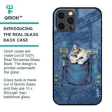 Kitty In Pocket Glass Case For iPhone 12 Pro Max