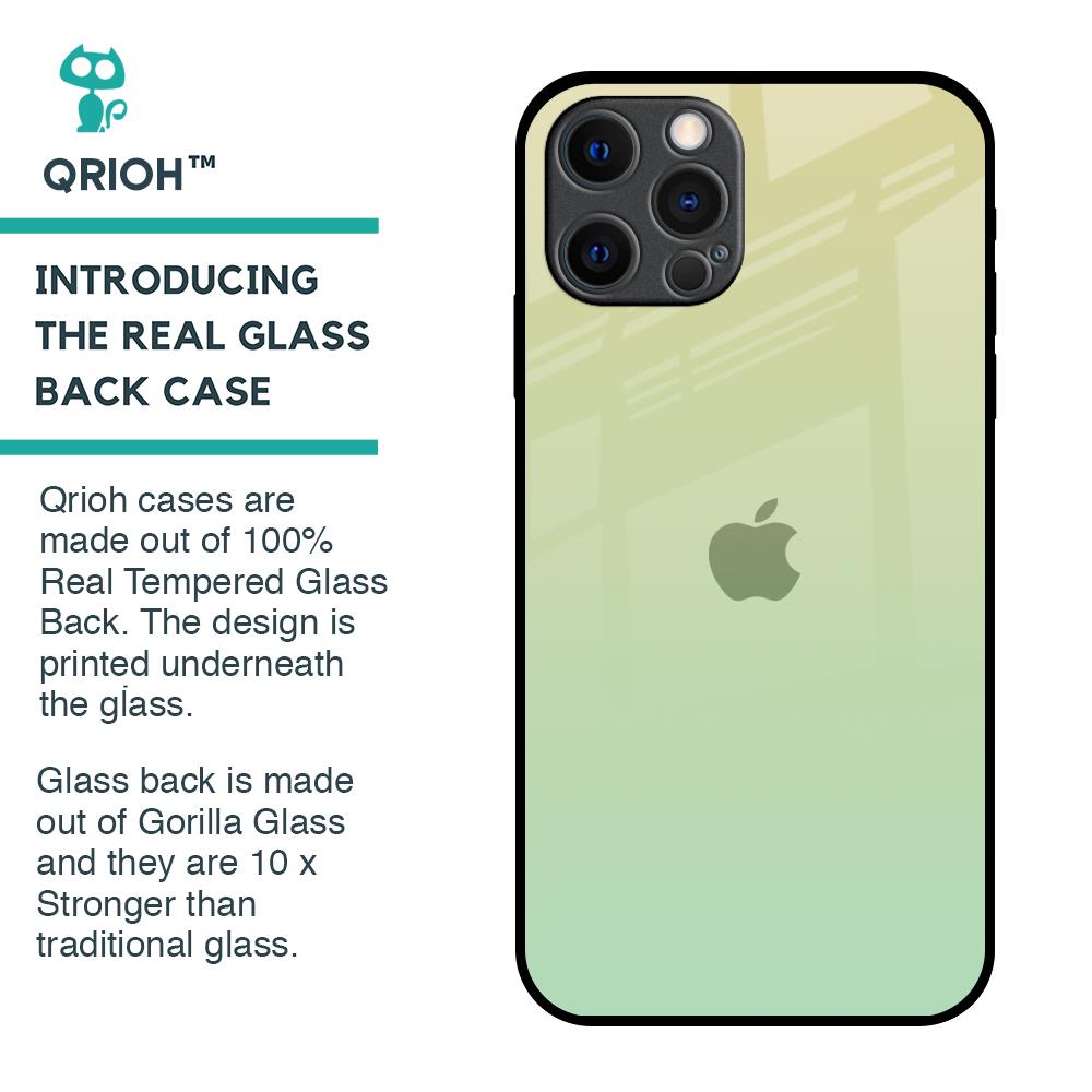 Mint Green Gradient Glass Case for iPhone 12 Pro Max