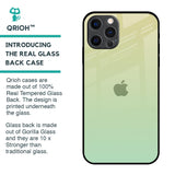 Mint Green Gradient Glass Case for iPhone 12 Pro Max