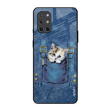 Kitty In Pocket OnePlus 8T Glass Back Cover Online