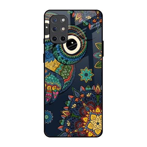 Owl Art OnePlus 8T Glass Back Cover Online