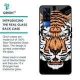 Angry Tiger Glass Case For Vivo Y51 2020