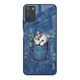 Kitty In Pocket Poco M3 Glass Back Cover Online