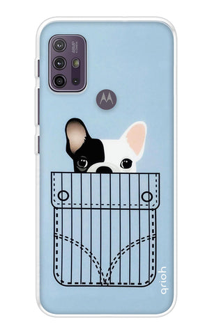 Cute Dog Motorola G10 Back Cover