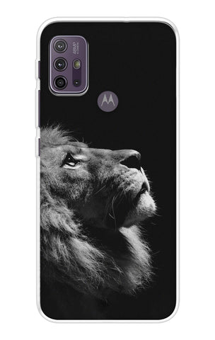 Lion Looking to Sky Motorola G10 Back Cover