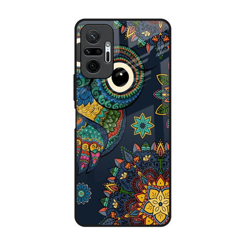 Owl Art Redmi Note 10 Pro Glass Back Cover Online