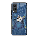 Kitty In Pocket Vivo X60 Glass Back Cover Online