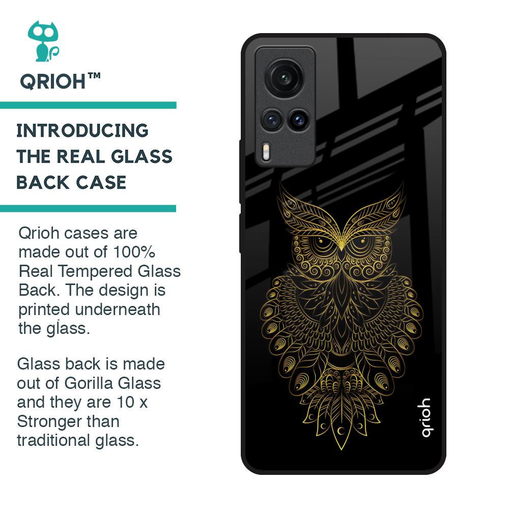 Golden Owl Glass Case for Vivo X60