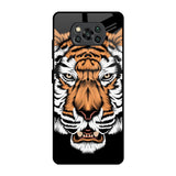 Angry Tiger Poco X3 Pro Glass Back Cover Online