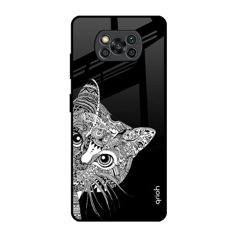 Kitten Mandala Poco X3 Pro Glass Back Cover Online