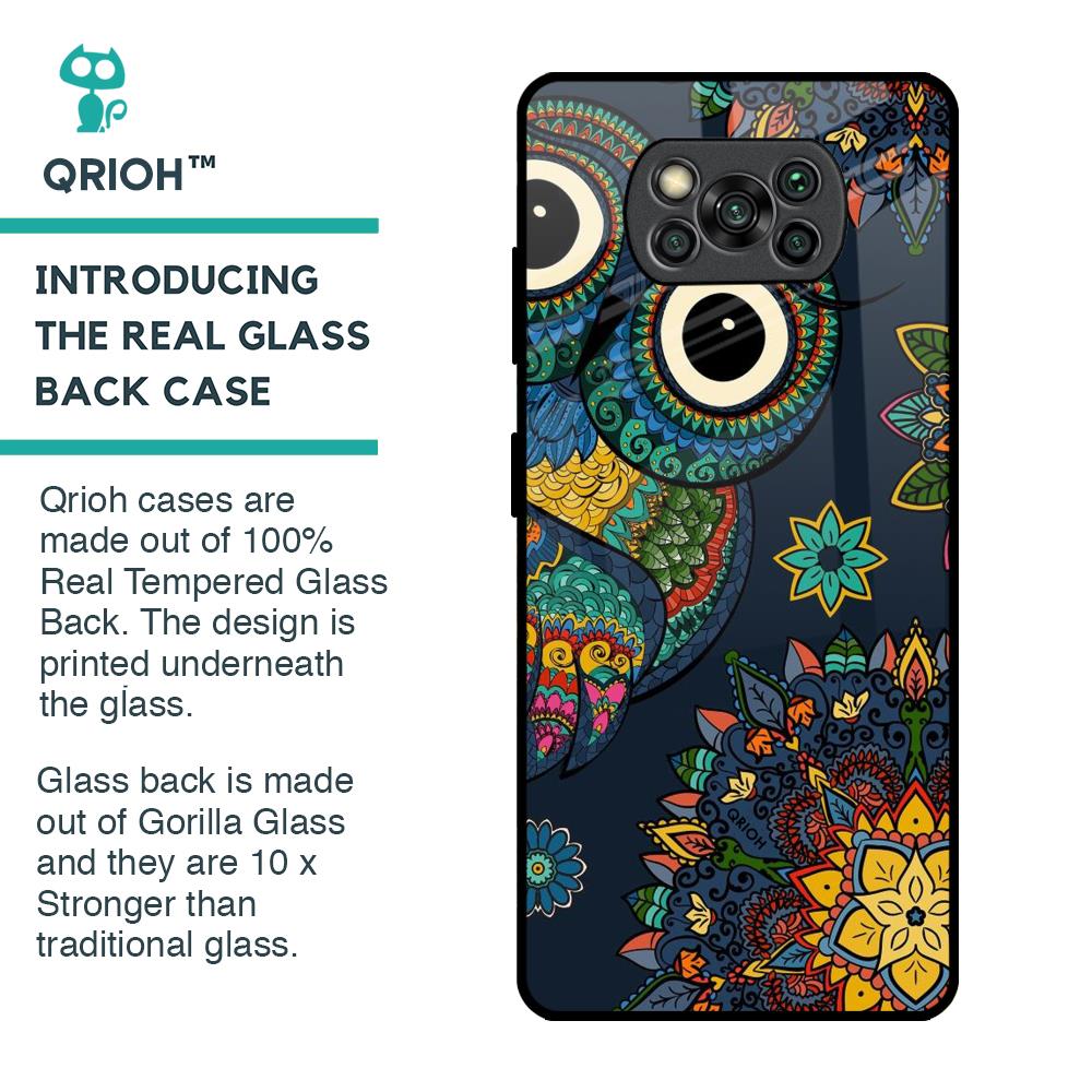 Owl Art Glass Case for Poco X3 Pro