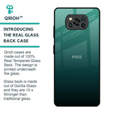 Palm Green Glass Case For Poco X3 Pro