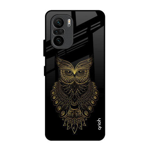 Golden Owl Mi 11X Glass Back Cover Online