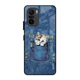Kitty In Pocket Mi 11X Glass Back Cover Online