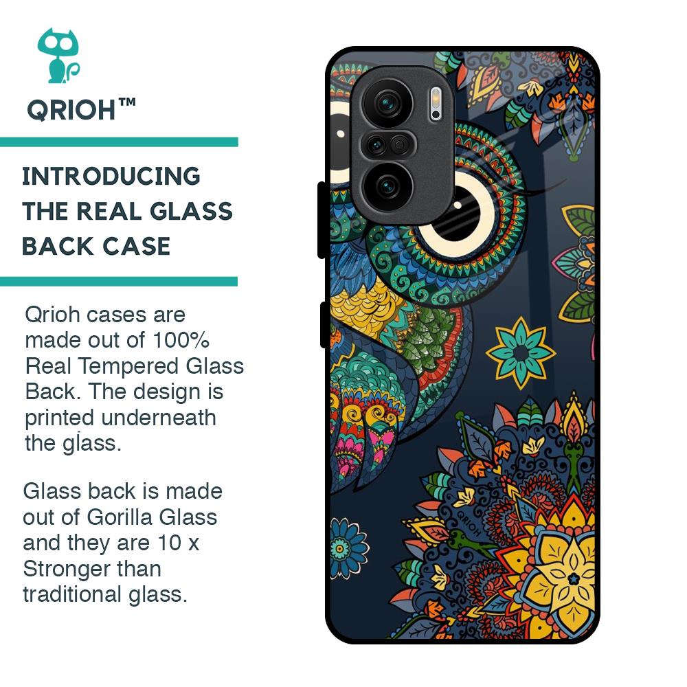 Owl Art Glass Case for Mi 11X