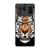 Angry Tiger Mi 11 Ultra Glass Back Cover Online