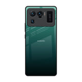 Palm Green Mi 11 Ultra Glass Back Cover Online