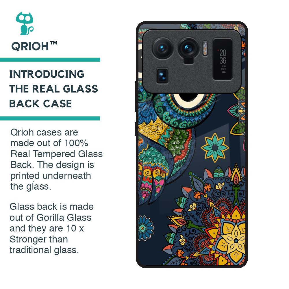 Owl Art Glass Case for Mi 11 Ultra