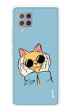Attitude Cat Samsung Galaxy M42 Back Cover