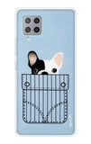 Cute Dog Samsung Galaxy M42 Back Cover