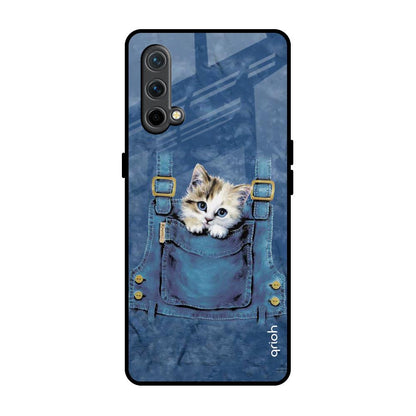 Kitty In Pocket OnePlus Nord CE Glass Back Cover Online