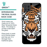 Angry Tiger Glass Case For Samsung Galaxy M32