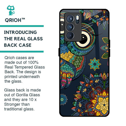 Owl Art Glass Case for Oppo Reno6