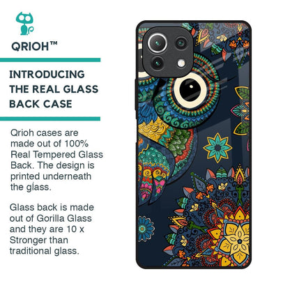 Owl Art Glass Case for Mi 11 Lite
