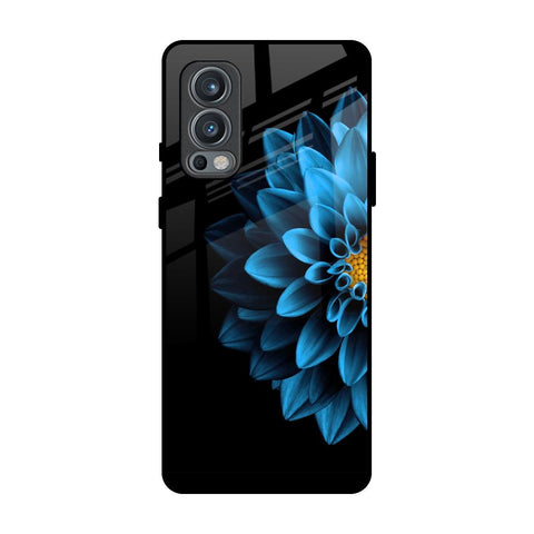 Half Blue Flower OnePlus Nord 2 Glass Back Cover Online