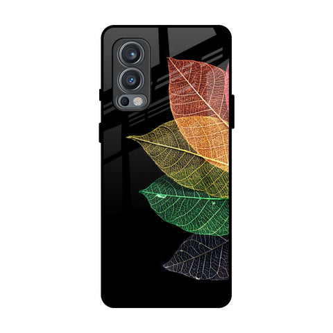 Colorful Leaves OnePlus Nord 2 Glass Back Cover Online