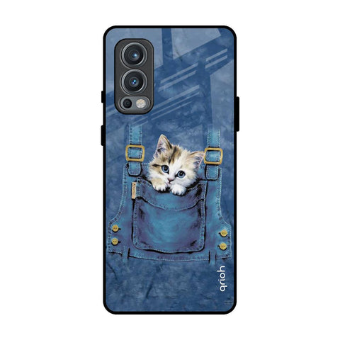 Kitty In Pocket OnePlus Nord 2 Glass Back Cover Online