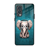 Adorable Baby Elephant OnePlus Nord 2 Glass Back Cover Online