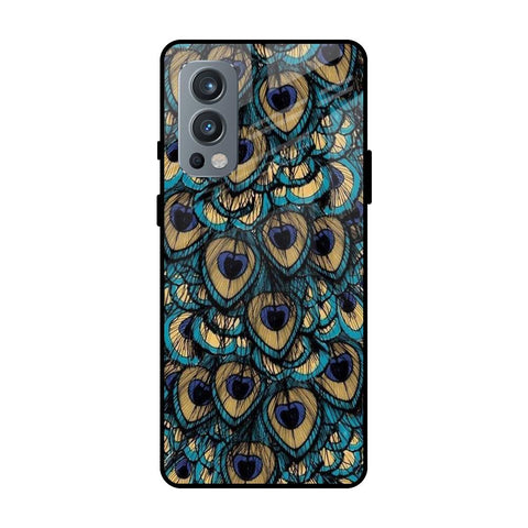 Peacock Feathers OnePlus Nord 2 Glass Cases & Covers Online