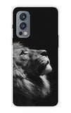 Lion Looking to Sky OnePlus Nord 2 Back Cover
