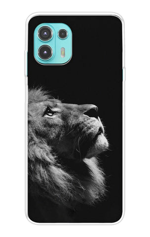 Lion Looking to Sky Motorola Edge 20 Fusion Back Cover