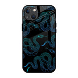Serpentine iPhone 13 Glass Back Cover Online