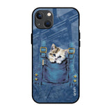 Kitty In Pocket iPhone 13 Glass Back Cover Online