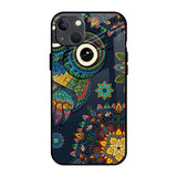 Owl Art iPhone 13 Glass Back Cover Online