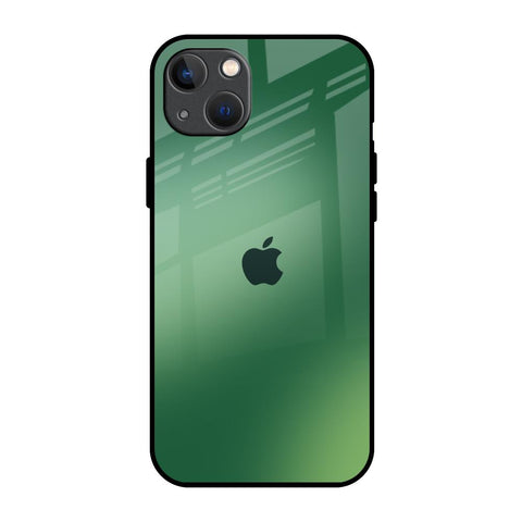 Green Grunge Texture iPhone 13 Glass Back Cover Online