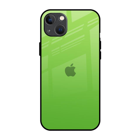 Paradise Green iPhone 13 Glass Back Cover Online