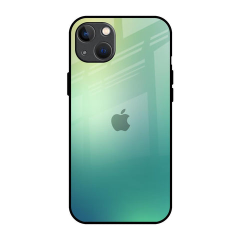 Dusty Green iPhone 13 Glass Back Cover Online