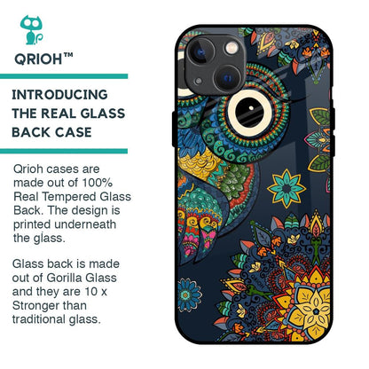 Owl Art Glass Case for iPhone 13