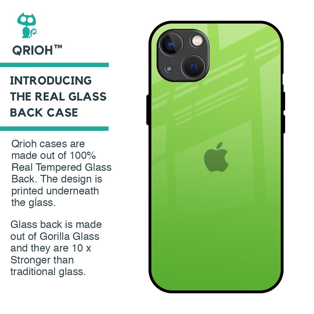 Paradise Green Glass Case For iPhone 13