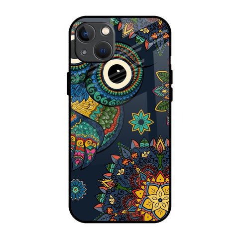 Owl Art iPhone 13 mini Glass Back Cover Online