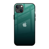 Palm Green iPhone 13 mini Glass Back Cover Online