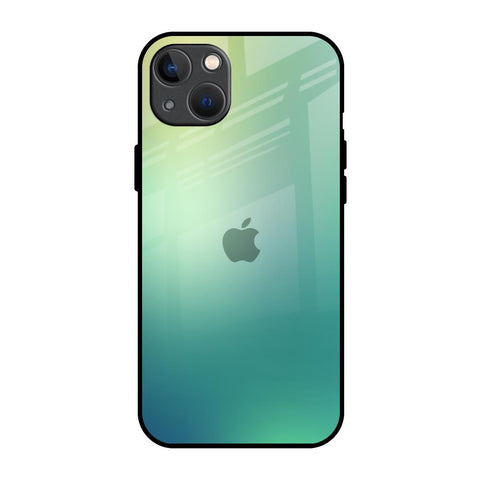 Dusty Green iPhone 13 mini Glass Back Cover Online